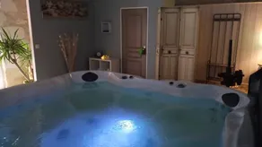 GITE 3* SWIMMING POOL SPA BEAUVAL CHATEAUX FUTUROSCOPE air-conditioned - Image 2
