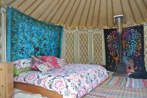 Eco-Glamping Mountain Yurt Nord du Pays de Galles - 4 personnes - Animaux acceptés et enfants - Image 4