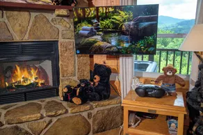 Gatlinburg * romantique, cabane en rondins privée; Mountain View, 5 étoiles * Emplacement - Image 3