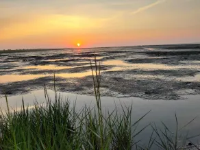 Vacation with a dog at the North Sea in East Frisia - Image 3