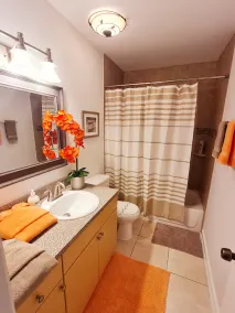 The Perfect Shiny Condo - Image 2