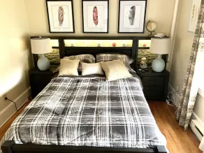 Cozy 1 bedroom apartment  can sleep 4  queen size bed couch in living room  - Image 5