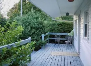 Linden Homestead: King Bed Cottage on Century Farm Property - Image 3
