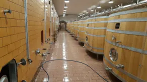 Nær Loire, butikker og centrum Pouilly-sur-Loire! ... - Image 2