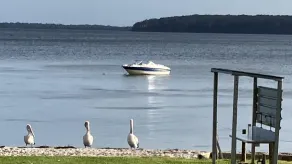 Pardesa A Little Piece Of Paradise - Belle Escapes Jervis Bay - Image 4