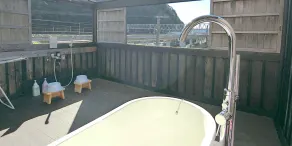 Minshuku Inn Shirahama Ekinoyado - Image 4
