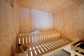 Apartment ‘Lodge Rosmarin’ with mountain views, private terrace, private sauna and whirlpool - Image 2