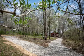Dogwood Cabin - Off Grid - Image 5