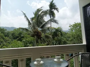 Relaxing with nature in the heart of the city. - Image 4