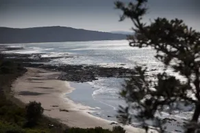 Sea Eagle Waterfront Beach House - Image 3