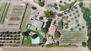 Casa Maggiorana A: A characteristic and welcoming cottage surrounded by the greenery, with Free WI-FI. - Image 5