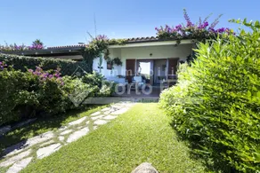 Vecchio Marino H4 - Image 5