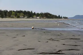 Walk-on Sandy Beach with Outstanding Ocean View,  Qualicum Bay - Image 4