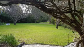 Wisteria Cottage Augusta - Image 3