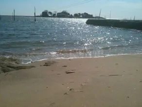 Beautiful Waterfront Beach House for Family Vacations - Image 2