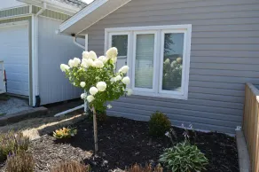 Another Sunset by the Bay: Waterfront - 2-Bedroom - Image 5