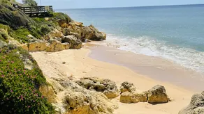 Bicos 303 by Check-in Portugal - Image 5