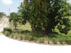 West Coast Apartment Hotel is located in Westmoreland, St.James, Barbados - Image 4