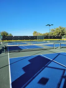 Spring Training, Local Pickleball, Pool, Hot Tub, Gated Community, Walking Trail - Image 4