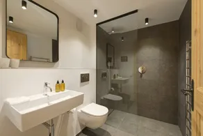 Chalet Silver Fox - Image 5