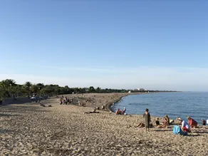 Kleines Haus im Olivenhain neben ARGELES SUR MER - Image 4