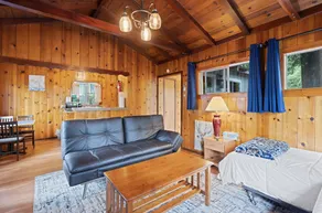 Mavrik - Cain Masoods Lodge - Image 5