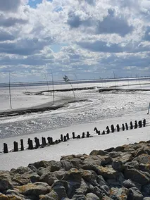 North Sea * Holiday home for the whole family * Dogs welcome - Image 5