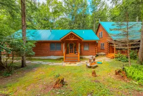 Cabin in the Woods - Image 5