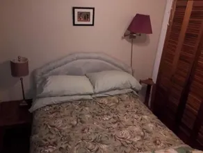 Guest House - Manitoulin Cottage - Image 4