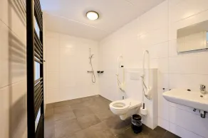 Wheelchair accessible detached holiday villa in the Veluwe for 4 people - Image 3