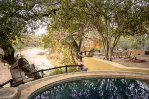 Shimungwe Lodge, Thornybush Game Reserve - Image 5