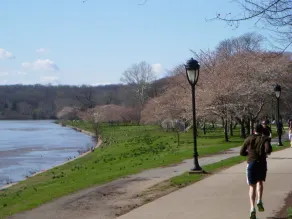 Great location for college visits/move-in, parents weekend, Merion Golf, Phila! - Image 5