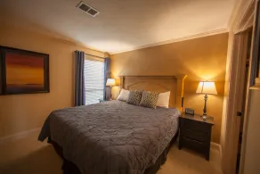 Walk In Level - Vacker / ren / nyligen renoverad 1BD / 1BA på Pointe Royale - Image 5