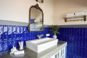 ELIVAAS Signature 5 BHK with Pvt Pool, Entertainment Room & Glass House - Bludoor - Image 4