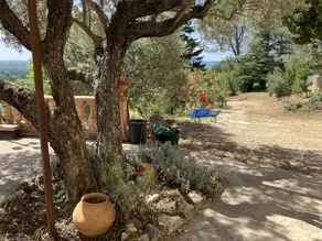 Charming country house in the Provencal countryside among vineyards and olive trees - Image 3