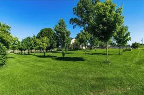 North 64 Farms Luxury Farm House sunrise view - Image 3