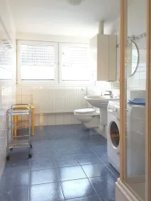 quiet balcony apartment, garden use, wifi, washing machine, dog allowed - Image 2