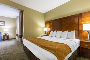 Comfort Suites, Lansing - Located 30-minute to Chicago Midway Int'l Airport - Image 4