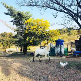 sunset ranch chalets - Image 5