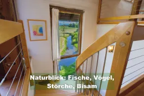 Schwarzwald-feriehus, 200 år gammel, rolig beliggenhed på landet, internet - Image 2