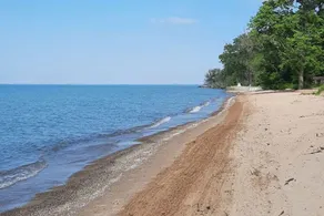 Support your nature prescription at The Nest, situated in a conservation area! - Image 4