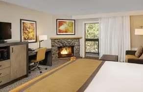 Premiere Suite With Access to Pools, Hot Tub, Spa - Image 4
