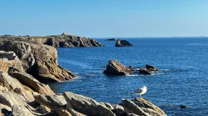 Quiberon - 2rooms + duplex - 38m² - near beach - Image 1