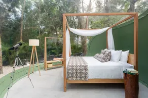 Bubble Hotel in the Mayan Jungle - Image 5