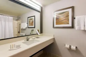 Revel in the Lap of Luxury! Heated Indoor Pool, Short Drive to Fox Theater! - Image 5