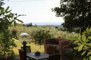 Montespertoli PODERE - Image 5
