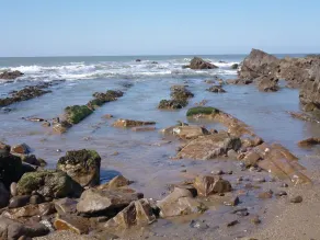 Widemouth Bay, à 300m de la plage de sable, les enfants (Animaux non admis) - Image 5