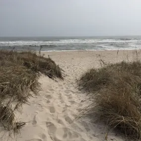 Come Enjoy the Ultimate Hamptons Escape! Only 70 miles from NYC! - Image 4