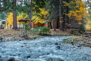 Forest A-Frame Cabin | Gold Run Creek Frontage | High-Speed WiFi | 10 Wooded Acres - Image 5