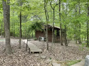 Cabin amongst the trees - Image 5